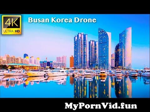Many porn in Busan