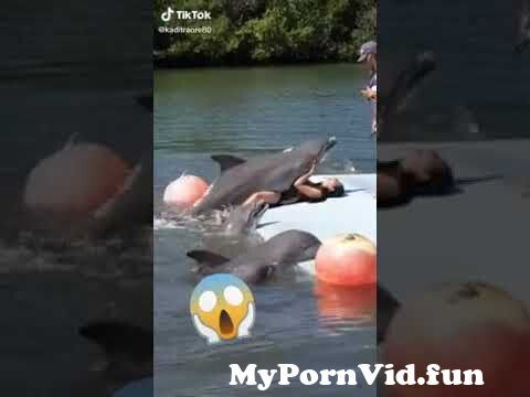 dolphin fucking woman from sex man fuck dolphin 3gpgli video mota xxx Watch Video - MyPornVid.fun