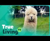 True Living TV - Lifestyle u0026 Health Documentaries