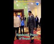 Miss Siti Brunei