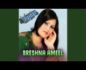 Brishna Amil