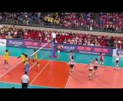 One Volleyball