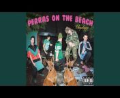 Perras On The Beach - Topic