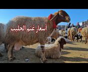 سوق المواشي في سوريا &#124; Livestock market in Syria
