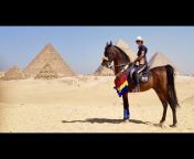 Ride Egypt - Horse Riding Holidays in Egypt