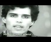 Pedro Suárez Vértiz Oficial
