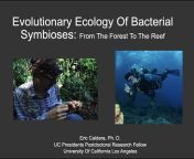 UCLA Department of Ecology and Evolutionary Biology