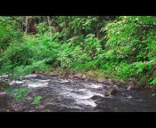 Scenic River Sounds