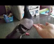 human bird xxx Videos - MyPornVid.fun