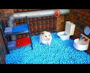 The Secret Life of my Hamster