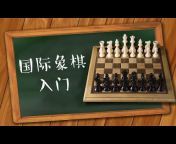 VIPChess国际象棋