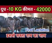 Sansaniwal Dairy Farm
