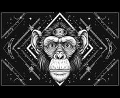 Dark Monkey Music