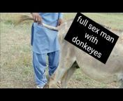 Animals sex video