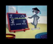 tom and jerry afsomali