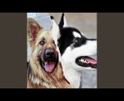 Jazz for Dogs - Topic