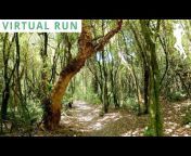 Virtual Running Videos