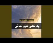 Amin Ullah Marwat - Topic