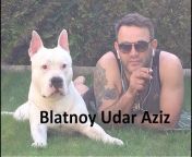 Blatnoy Udar Official