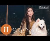 华策影视官方频道 China Huace TV Official Channel