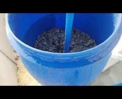 chandrika fresh water pearl farming