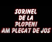 SORINEL DE LA PLOPENI MUSIC