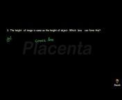 Placenta (Class - X)