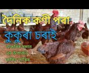 Muntaz Ali Poultry farm