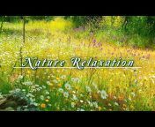 Healing Nature u0026 Meditation