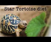 Indian Star Tortoise Conservation