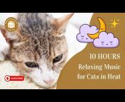 Relaxing Music for Cat