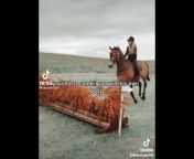 THE RANDOM HORSE GIRL