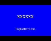 English Dove