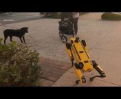 Scrappy the Robot Dog