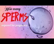 Pregnancy To Mom
