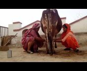 Choudary family vlog