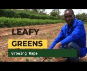 Greenspace Zambia