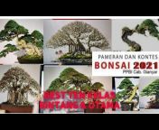 Indo Bonsai