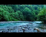 Nature Soundscapes Indonesia