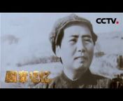 CCTV中文