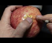 Great Sage Carving Knife-Fruit