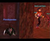 EverQuest Solo