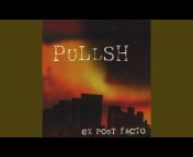 Pullsh - Topic