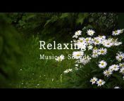 Relaxing Music u0026 Sound