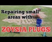NC Grass Plugs