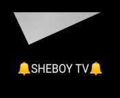 SHEBOY TV