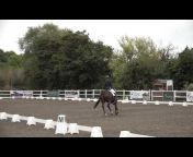 Milly Dressage