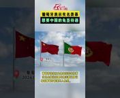 葡萄牙中文资讯-宝马街RuadaPalma