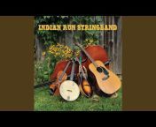 Indian Run Stringband - Topic