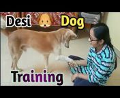 Life With Desi (Indian) Dog